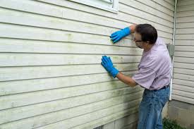 Best Insulated Siding Installation  in Mvell, AR